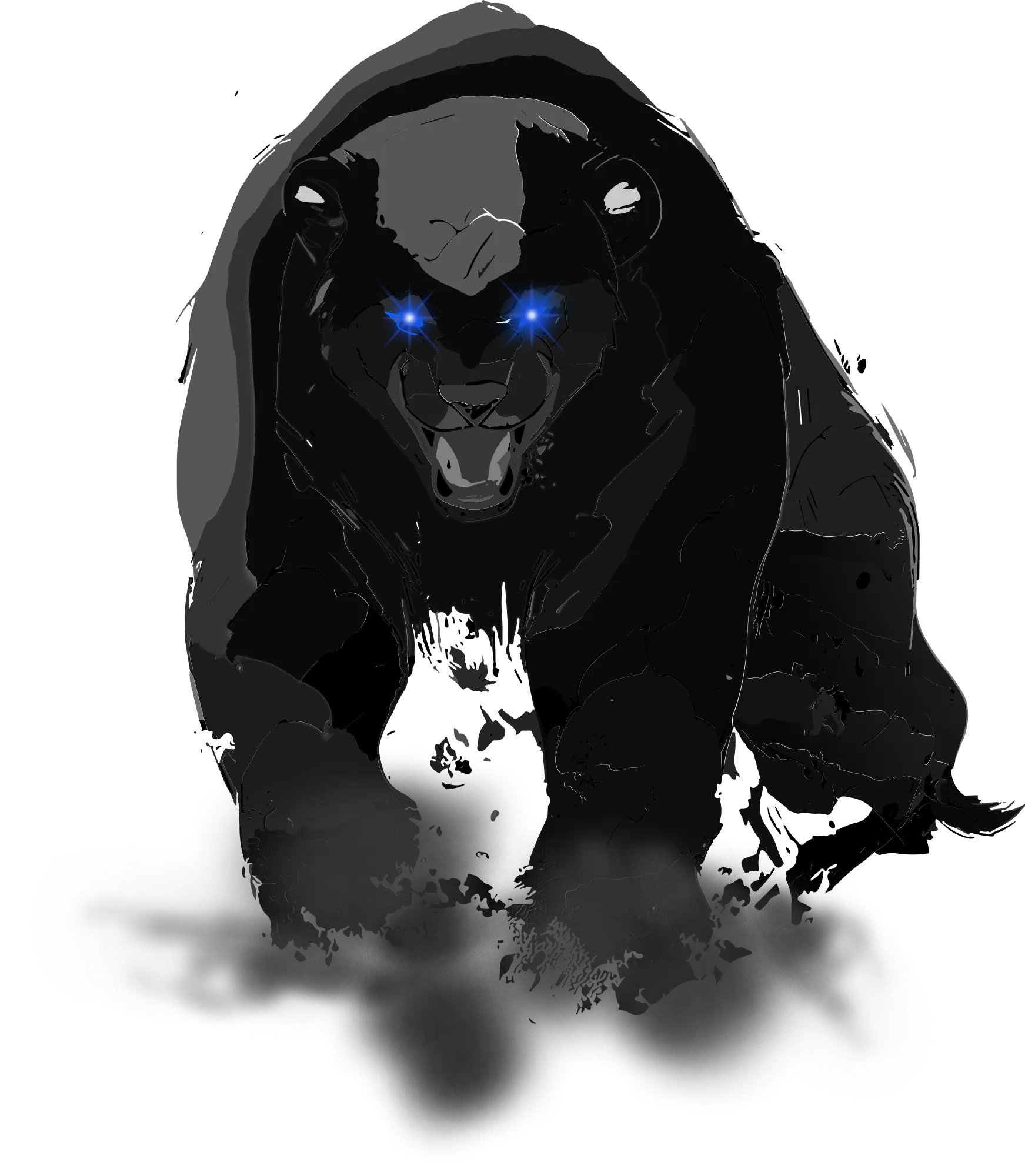 bear-image